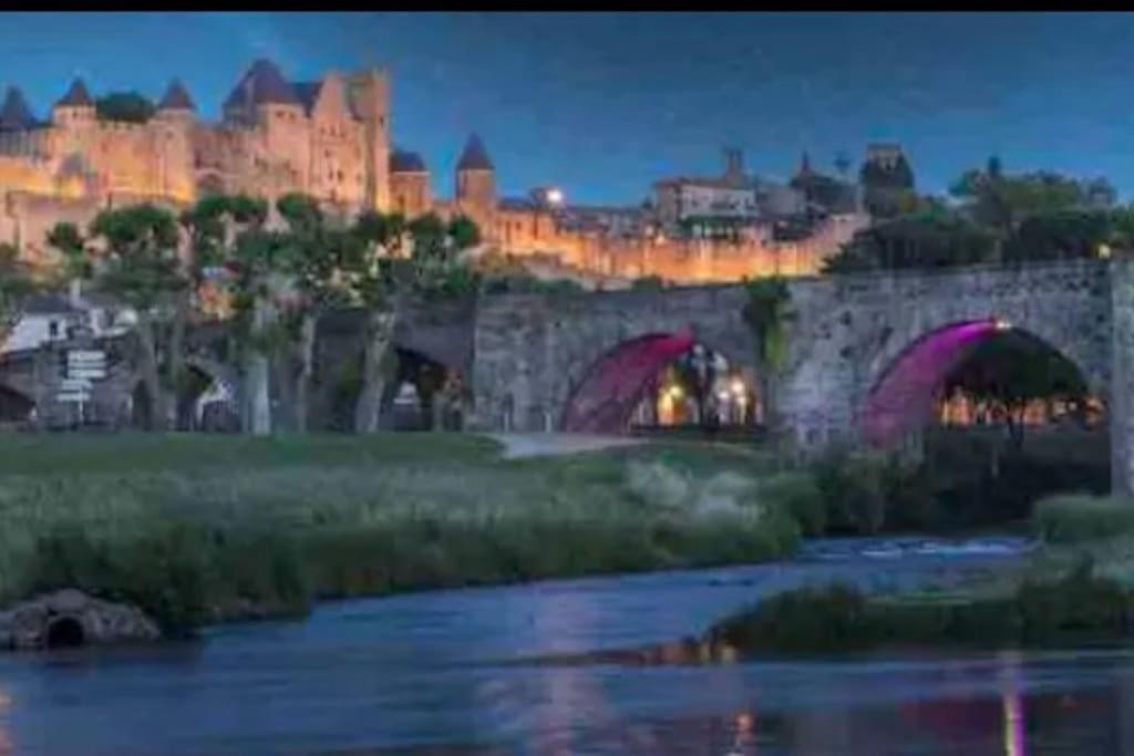 Appartement T2 Avec Vue Chateau Carcassonne Exterior foto